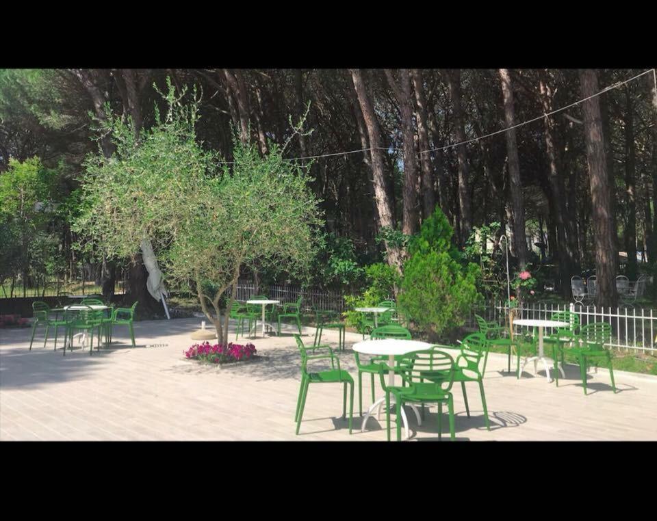 Holiday Home Pishat E Buta 28 Голем Екстериор снимка